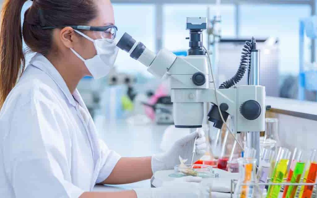 Full Body health MOT